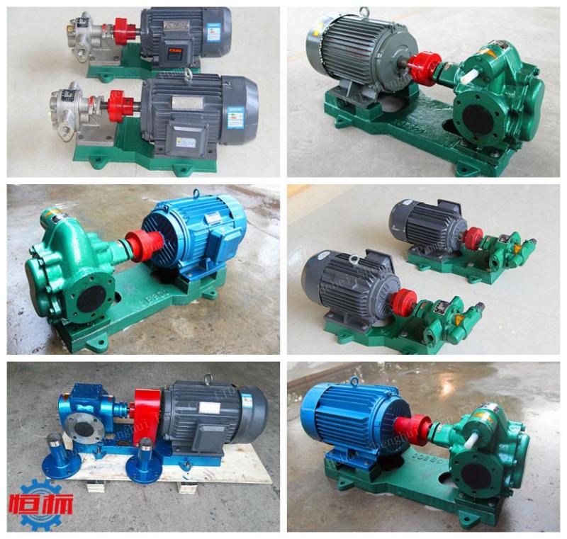 Gear oil pump 